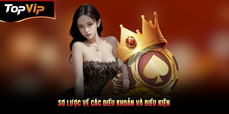 Sơ lược về các điều khoản và điều kiện