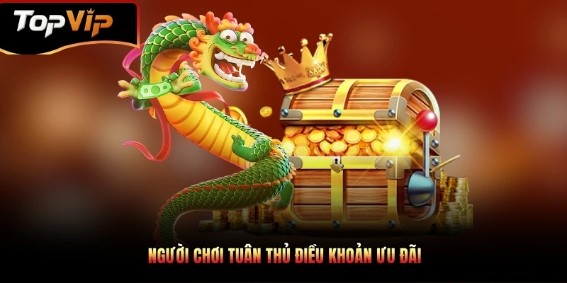 Người chơi tuân thủ điều khoản ưu đãi