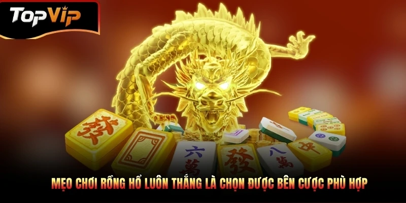 Mẹo chơi rồng hổ luôn thắng là chọn được bên cược phù hợp
