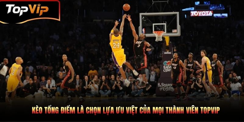 Lý do NBA trực tuyến luôn là sự chọn lựa được hội viên yêu thích