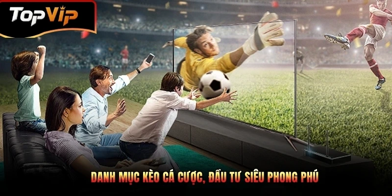 Chuyên mục cập nhật mỗi trận đấu dựa trên thời gian thực tế