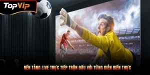 trực tiếp bóng đá live