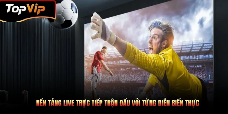 trực tiếp bóng đá live